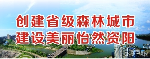 逼特逼性交创建省级森林城市 建设美丽怡然资阳